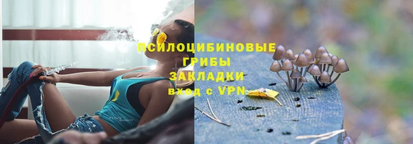 шишки Зерноград