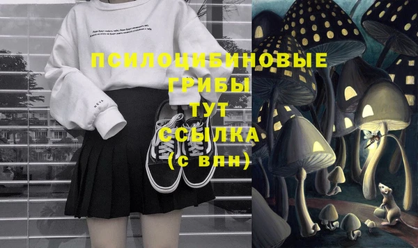 ECSTASY Зеленодольск