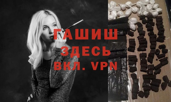 гидра Елабуга