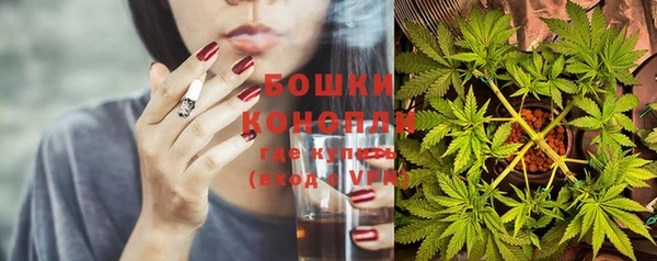 spice Иннополис