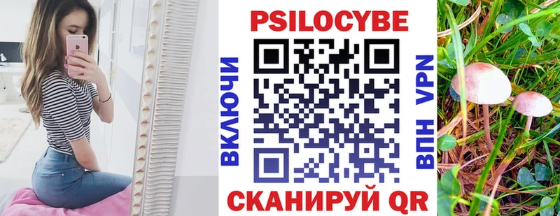 Галлюциногенные грибы Cubensis Рыбное
