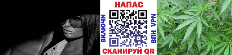 Шишки марихуана планчик  Купить закладки  Рыбное 